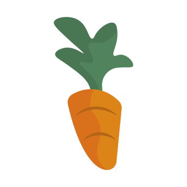 Yapraklı taze havuç. Vektör illüstrasyonu