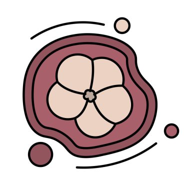 Bir meyve ikonu Vektör illüstrasyonunun izole edilmiş dilimi