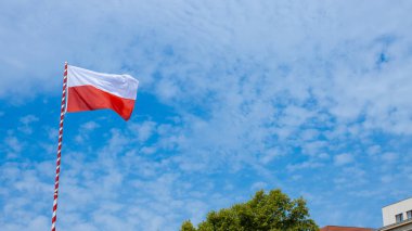 Bir Polonya bayrağı, güzel güneşli bir günde gururla dalgalanır. Ulusal gurur ve Polonya Ordu Günü 'nün özünü somutlaştırır.