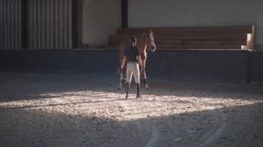 Indoors Education and Training of Horse at Equine Farm Center - Female Instructor