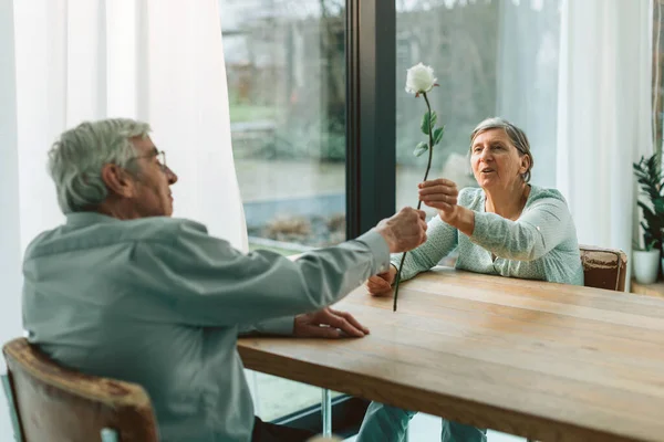 elder woman with happy expression taking a rose given as present from her man - flower as gift for Valentine\'s Day, birthday, or wedding anniversary - happy retired couple concept