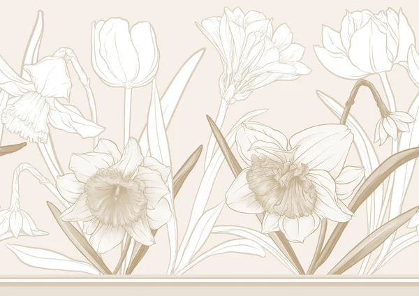 White Daffodils Tulips Flowers Early Spring Flowers Seamless Border Pattern — Vetor de Stock