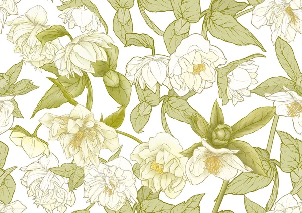 Witte Hellebore Bloemen Eerste Lente Bloeiende Ranunculus Voorjaarsbloemenmotief Naadloos Patroon — Stockvector