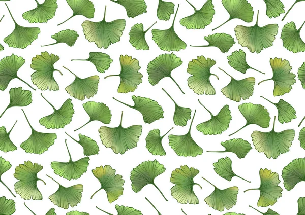 Ginkgo Biloba Yaprakları Kusursuz Desen Arka Plan Vektör Çizimi Botanik — Stok Vektör