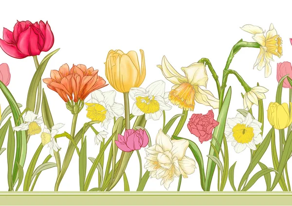 White Daffodils Tulips Flowers Early Spring Flowers Seamless Border Pattern — ストックベクタ