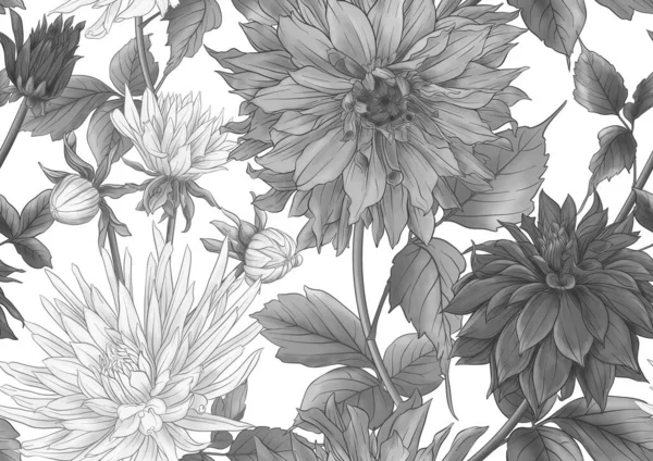 Dahlias Flowers Outline Coloured Style Seamless Pattern Background Vector Illustration — Stok Vektör