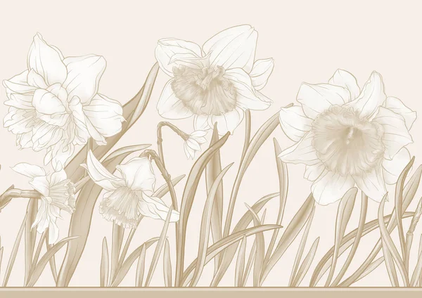 White Daffodils Tulips Flowers Early Spring Flowers Seamless Border Pattern — Archivo Imágenes Vectoriales