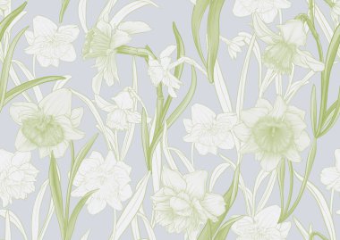 White daffodils and tulips flowers, the early spring flowers. Seamless pattern, background. Vector illustration. In botanical style