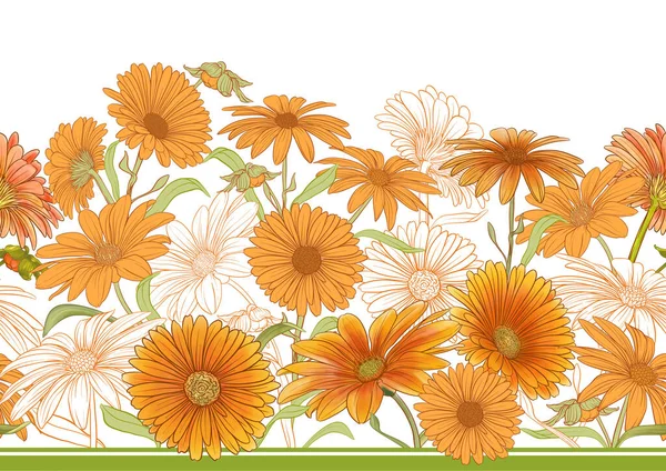 Calendula Medicinal Herbs Flowers Seamless Pattern Background Vector Illustration — Stock Vector