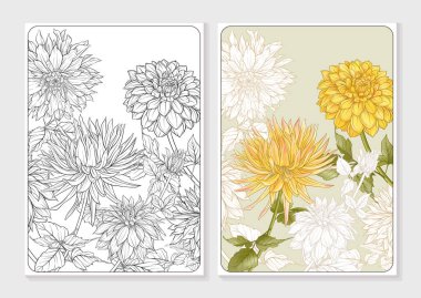 Dahlia çiçekleri, özet ve renkli, botanik tarzında. Yetişkin boyama kitabı için renkli örnekle boyama sayfası. Vektör illüstrasyonu.