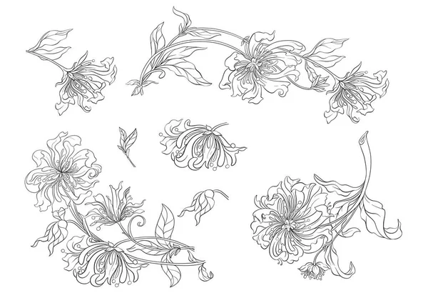 Dekorativní Květiny Listy Secesním Stylu Vinobraní Starý Retro Styl Klipart — Stockový vektor