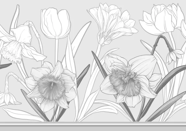 Білі Нарциси Тюльпани Ранні Весняні Квіти Безшовний Візерунок Рамки Лінійний — стоковий вектор