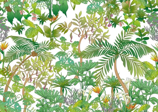 Tropické Rostliny Květiny Vzor Bezešvé Pozadí Vektorové Ilustrace — Stockový vektor