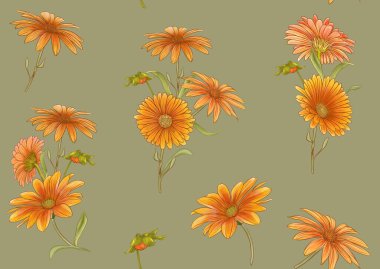 Calendula şifalı bitkiler ve çiçekler dikişsiz desen, arka plan. Vektör illüstrasyonu.