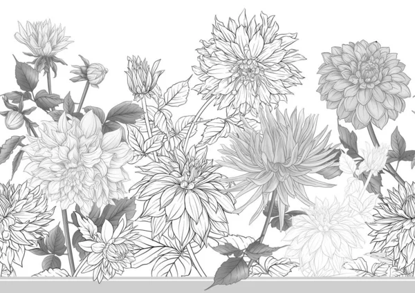 Dahlias Flowers Outline Coloured Style Seamless Pattern Background Vector Illustration - Stok Vektor