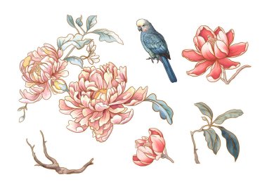 Kuşların yuttuğu çiçek ağaçları ve papağanlar. Set, tasarım elemanı. Vektör çizimi. Chinoiserie 'de botanik tarzında.