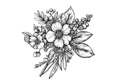 Yaban gülü çiçekleri ve böğürtlenlerden oluşan yaka çiçekleri. Grafik çizim ve gravür stili için elementler seti. Vektör çizimi. Botanik tarzında.