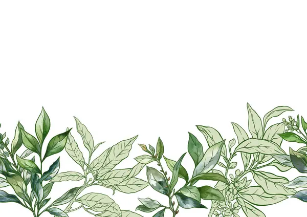 Branch Zöld Tealevéllel Zökkenőmentes Minta Háttér Vektor Illusztráció Botanikai Stílusban — Stock Vector
