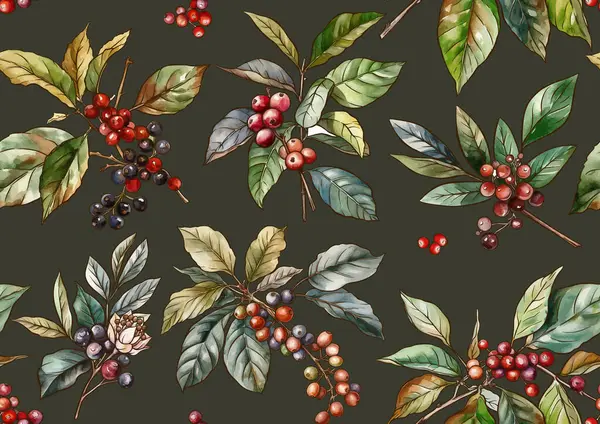 Kávéfa Ágak Levelekkel Bogyókkal Zökkenőmentes Minta Háttér Vektor Illusztráció Botanikai Stock Illusztrációk