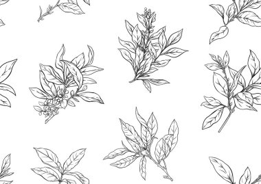 Yeşil çay yapraklı bir dal. Kusursuz desen, arka plan. Vektör çizimi. Botanik tarzında.