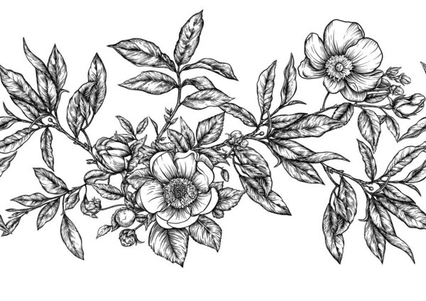 Green tea branch with leaves and wild rose flowers and berries. Seamless pattern, background. Vector illustration. In botanical style