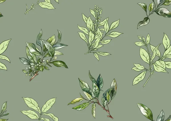 Větvička Listy Zeleného Čaje Bezproblémové Vzorce Pozadí Vektorová Ilustrace Botanickém Stock Vektory