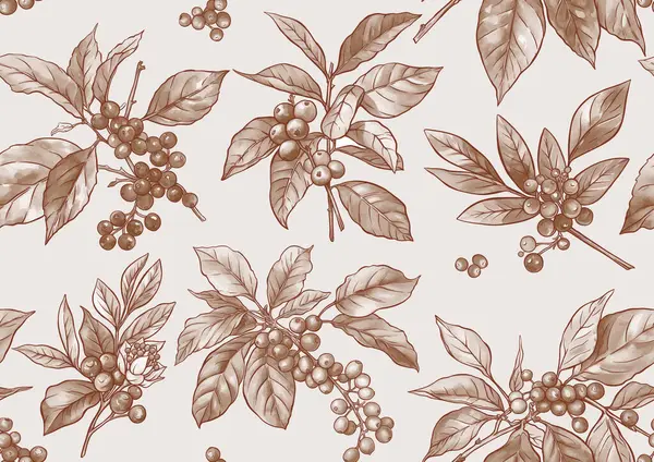Kávéfa Ágak Levelekkel Bogyókkal Zökkenőmentes Minta Háttér Vektor Illusztráció Botanikai Stock Illusztrációk