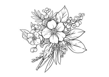 Yabani gül çiçekleri ve böğürtlen yonga sanatı, tasarım için elementler dizisi el çizimi çizimi illüstrasyonu. Botanik tarzında.