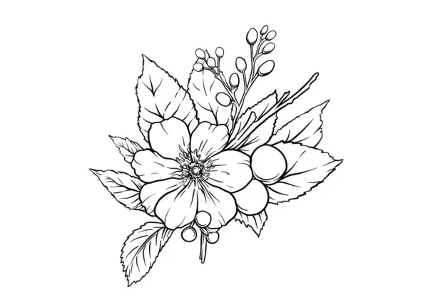 열매의 Boutonniere 디자인 그리기 일러스트 요소의 세트입니다 식물학적 스타일에서 스톡 일러스트레이션