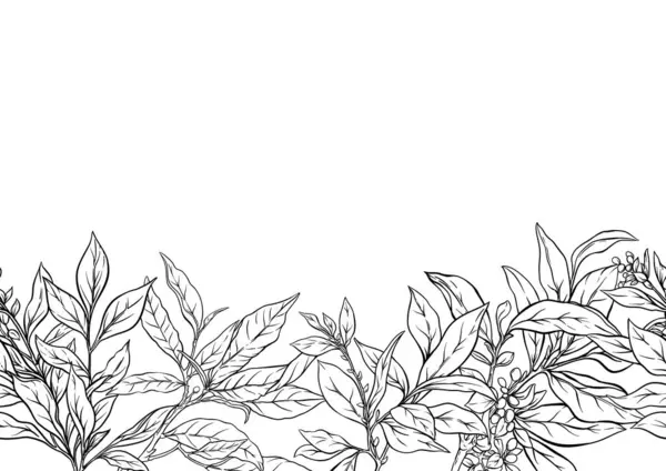 Гілка Листям Зеленого Чаю Безшовний Візерунок Фон Векторні Ілюстрації Ботанічному Стоковий вектор