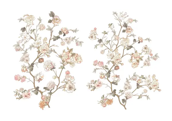 Virág Clip Art Készlet Elemek Design Vector Illusztráció Kínai Botanikai Vektor Grafikák