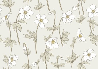 Orman Anemone çiçekleri, dekoratif çiçekler ve kusursuz desenler, arka plan. Vektör çizimi. Botanik tarzında.