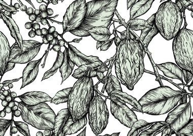 Kahve ağacı. Yaprak ve böğürtlenli dal. Kakao fasulyeli kakao ağacı dalı, çikolata çekirdekleri, kusursuz desenler, arka plan. Vektör çizimi. Botanik tarzında.