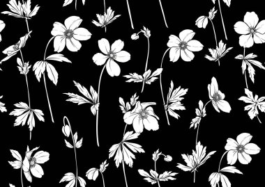 Orman Anemone çiçekleri, dekoratif çiçekler ve kusursuz desenler, arka plan. Vektör çizimi. Botanik tarzında.