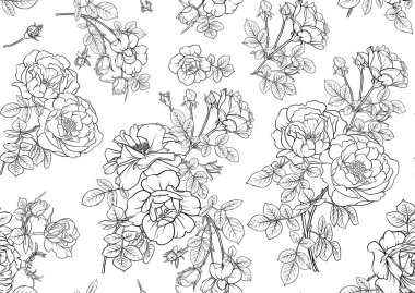 Gül çiçekleri, kusursuz desenler, arka plan. Vektör çizimi. Özet el çizimi.