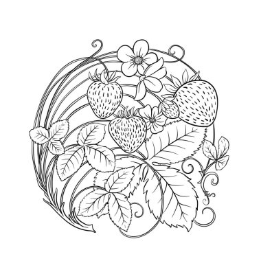 Çilekli. Böğürtlenli, yapraklı ve çiçekli bir dal. Klip sanatı, tasarım Vektörü illüstrasyonu için elementler kümesi. Sanatsal yenilik tarzı, klasik, eski, eski tarz. Botanik tarzında.