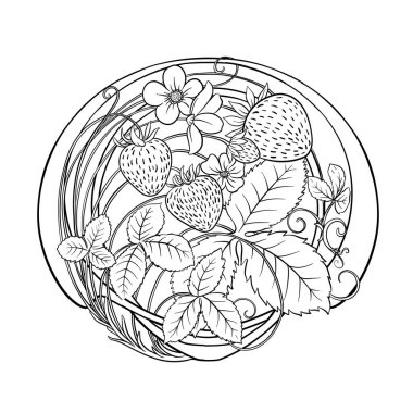 Çilekli. Böğürtlenli, yapraklı ve çiçekli bir dal. Klip sanatı, tasarım Vektörü illüstrasyonu için elementler kümesi. Sanatsal yenilik tarzı, klasik, eski, eski tarz. Botanik tarzında.