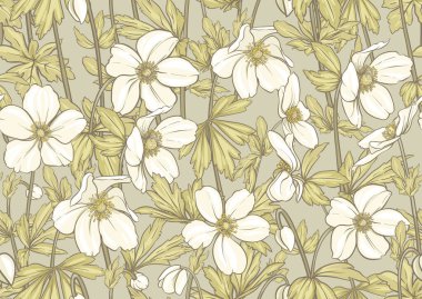 Orman Anemone çiçekleri, dekoratif çiçekler ve kusursuz desenler, arka plan. Vektör çizimi. Botanik tarzında.