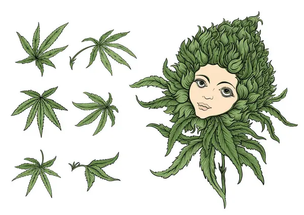 Esrar yaprakları ve hayalperest kızların yüzüne sahip sürrealite tomurcukları. Botanik, psikedelik ve sanatsal tasarım alternatif sağlık, baskı veya ambalaj kavramları için mükemmeldir..