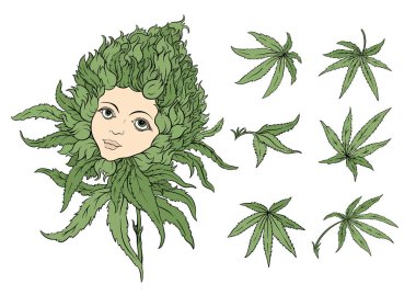 Esrar yaprakları ve hayalperest kızların yüzüne sahip sürrealite tomurcukları. Botanik, psikedelik ve sanatsal tasarım alternatif sağlık, baskı veya ambalaj kavramları için mükemmeldir..