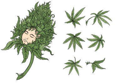 Esrar yaprakları ve hayalperest kızların yüzüne sahip sürrealite tomurcukları. Botanik, psikedelik ve sanatsal tasarım alternatif sağlık, baskı veya ambalaj kavramları için mükemmeldir..