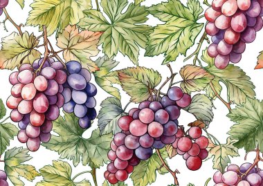 Olgun üzüm demetleri, yapraklar ve sarmaşıklarla kusursuz vektör deseni. El yapımı suluboya. Şarap etiketleri, tekstil, duvar kağıtları ve ambalaj için ideal. Zarif, botanik ve klasik esinlenilmiş..