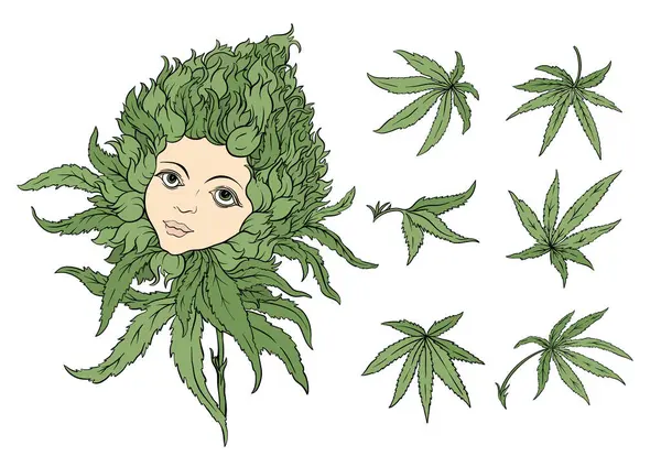 Esrar yaprakları ve hayalperest kızların yüzüne sahip sürrealite tomurcukları. Botanik, psikedelik ve sanatsal tasarım alternatif sağlık, baskı veya ambalaj kavramları için mükemmeldir..