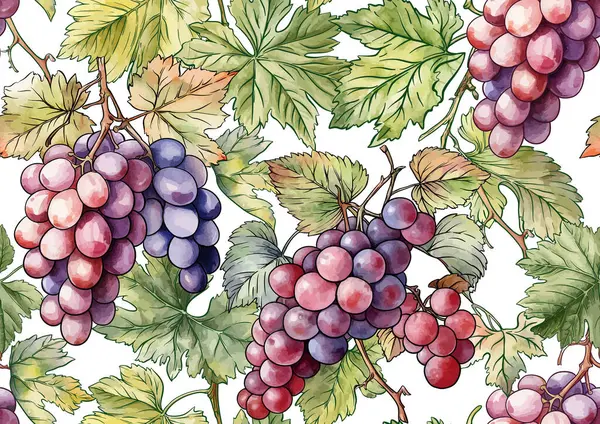 Olgun üzüm demetleri, yapraklar ve sarmaşıklarla kusursuz vektör deseni. El yapımı suluboya. Şarap etiketleri, tekstil, duvar kağıtları ve ambalaj için ideal. Zarif, botanik ve klasik esinlenilmiş..