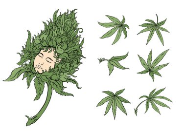 Esrar yaprakları ve hayalperest kızların yüzüne sahip sürrealite tomurcukları. Botanik, psikedelik ve sanatsal tasarım alternatif sağlık, baskı veya ambalaj kavramları için mükemmeldir..