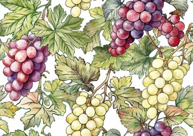 Olgun üzüm demetleri, yapraklar ve sarmaşıklarla kusursuz vektör deseni. El yapımı suluboya. Şarap etiketleri, tekstil, duvar kağıtları ve ambalaj için ideal. Zarif, botanik ve klasik esinlenilmiş..