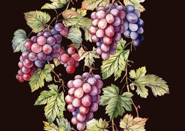 Olgun üzüm demetleri, yapraklar ve sarmaşıklarla kusursuz vektör deseni. El yapımı suluboya. Şarap etiketleri, tekstil, duvar kağıtları ve ambalaj için ideal. Zarif, botanik ve klasik esinlenilmiş..