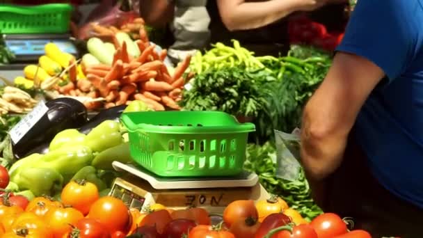 罗马尼亚布加勒斯特 2023年7月14日 布加勒斯特第4区市政厅宣布农业粮食市场 Piata Norilor — 图库视频影像
