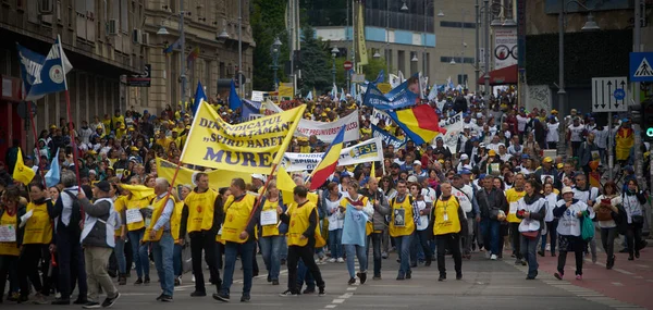 Bucarest Rumania Mayo 2023 Hasta 000 Docentes Varias Federaciones Sindicales — Foto de Stock
