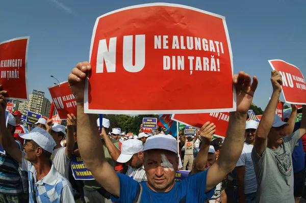 Bucarest Rumania Julio 2023 Hasta 000 Empleados Industria Construcción Protestan —  Fotos de Stock